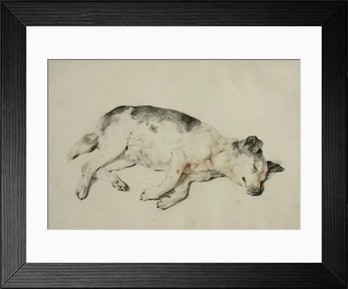 Framed Print : Sleeping dog. Creator: Cornelis de Visscher Framed Print : Sleeping dog. Creator: Cornelis de Visscher
