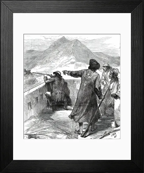 Framed Print : The Royal Visit to India: the Prince of Wales shooting his first tiger at Jeypore...1876. Creator: Unknown Framed Print : The Royal Visit to India: the Prince of Wales shooting his first tiger at Jeypore...1876. Creator: Unknown