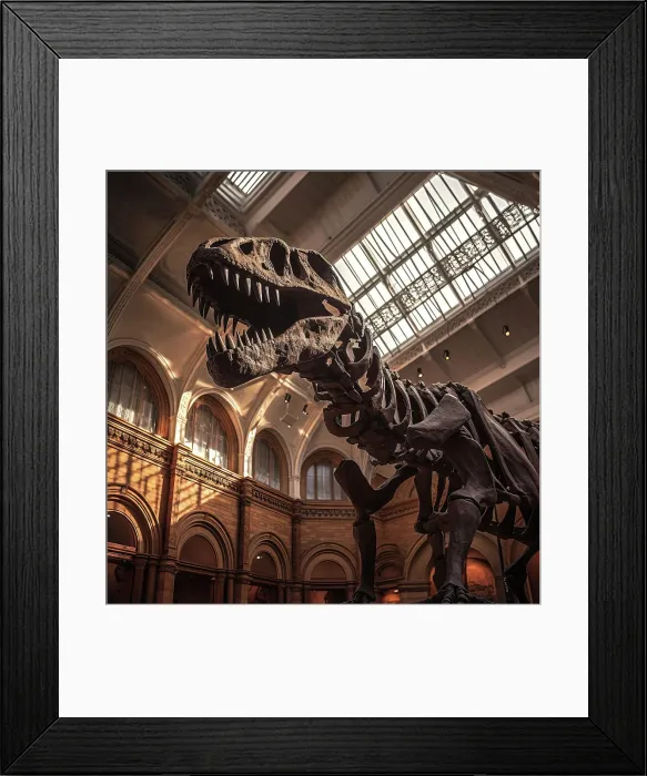 Framed Print : AI IMAGE - Fossilised remains of a Tyrannosaurus rex in a museum, 2023. Creator: Heritage Images Framed Print : AI IMAGE - Fossilised remains of a Tyrannosaurus rex in a museum, 2023. Creator: Heritage Images