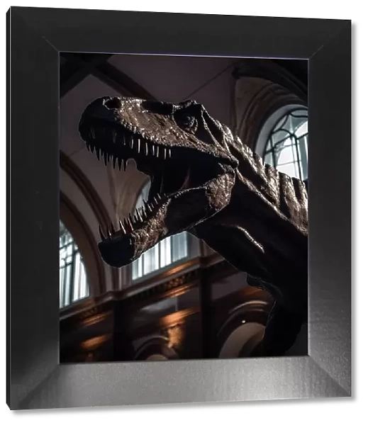 AI IMAGE - Tyrannosaurus rex in a museum, 2023. Creator: Heritage Images