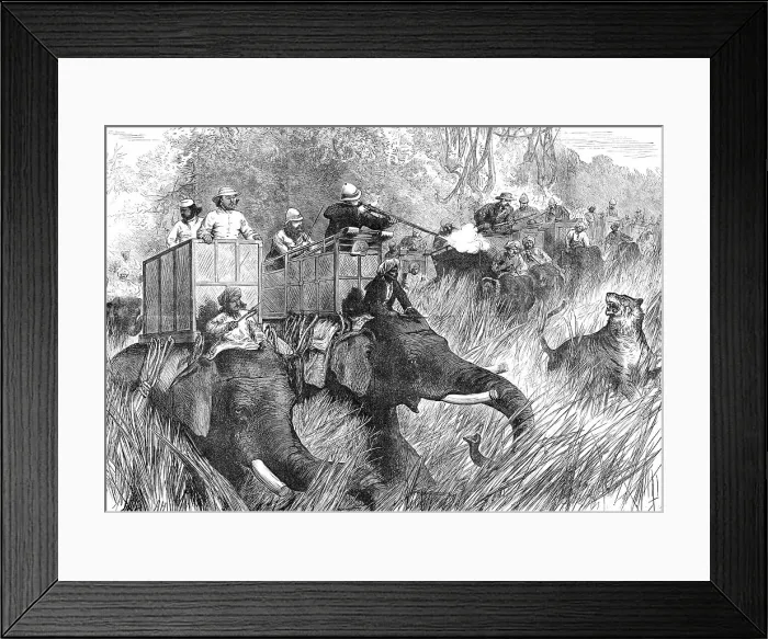 Framed Print : The Prince of Wales Tiger-Shooting with Sir Jung Bahadoor: the Critical Moment...1876. Creator: Unknown Framed Print : The Prince of Wales Tiger-Shooting with Sir Jung Bahadoor: the Critical Moment...1876. Creator: Unknown