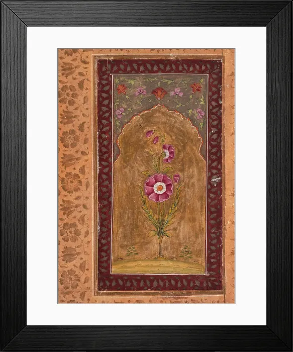 Framed Print : A Flower Study, between 1700 and 1725. Creator: Unknown Framed Print : A Flower Study, between 1700 and 1725. Creator: Unknown