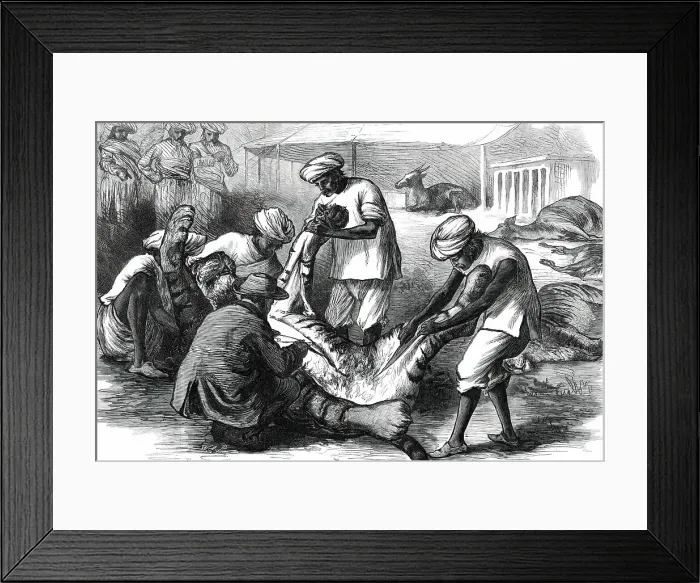 Framed Print : Skinning a Tiger, from a sketch by one of our special artists in India, 1876. Creator: Unknown Framed Print : Skinning a Tiger, from a sketch by one of our special artists in India, 1876. Creator: Unknown
