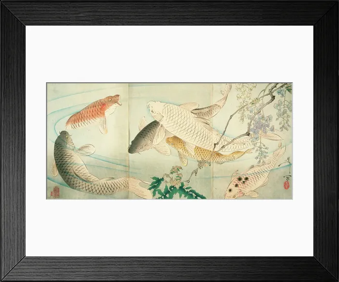 Framed Print : Carp with Wisteria, c1889. Creator: Tsukioka Yoshitoshi Framed Print : Carp with Wisteria, c1889. Creator: Tsukioka Yoshitoshi
