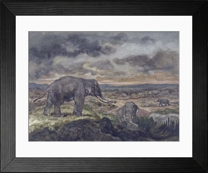 Framed Print : Elephants, c1867. Creator: Antoine-Louis Barye Framed Print : Elephants, c1867. Creator: Antoine-Louis Barye
