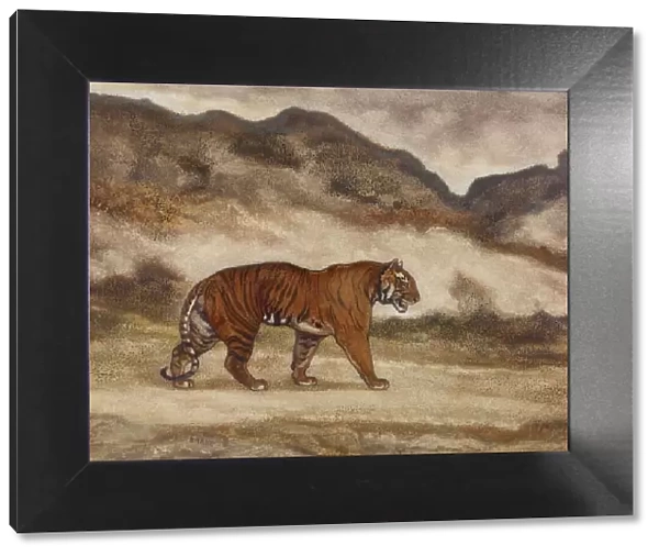 Tiger Walking, 1850s. Creator: Antoine-Louis Barye