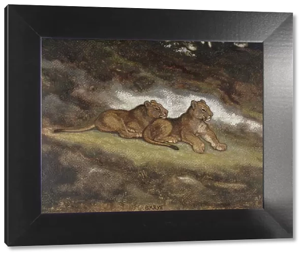 Two Lion Cubs, c1850-1869. Creator: Antoine-Louis Barye