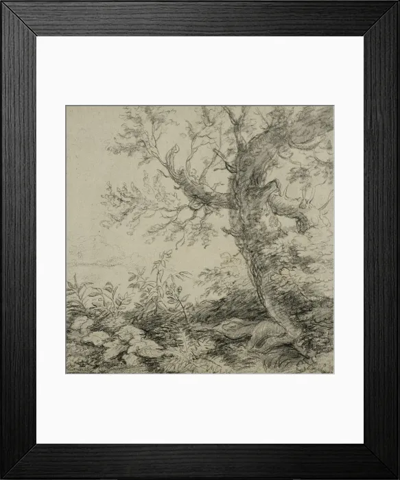 Framed Print : Landscape with a tree, ca 1630-1690. Creator: Anthonie Waterloo Framed Print : Landscape with a tree, ca 1630-1690. Creator: Anthonie Waterloo
