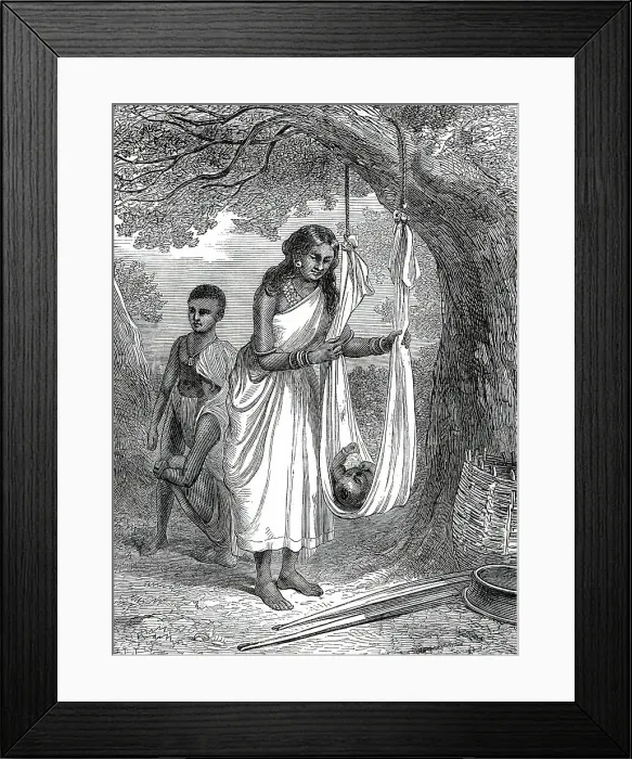 Framed Print : A natural cradle, Tuticorin, Southern India, from a sketch by one of our special artists, 1876. Creator: Unknown Framed Print : A natural cradle, Tuticorin, Southern India, from a sketch by one of our special artists, 1876. Creator: Unknown