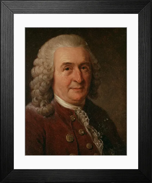 Framed Print : Karl von Linné, 1707-1778, 1827. Creator: Johan Gustaf Sandberg