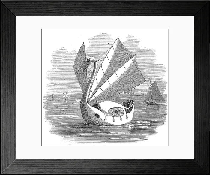 Framed Print : The Swan of the Exe, 1860. Creator: Unknown. The Swan of the Exe, 1860. Creator: Unknown Framed Print : The Swan of the Exe, 1860. Creator: Unknown. The Swan of the Exe, 1860. Creator: Unknown