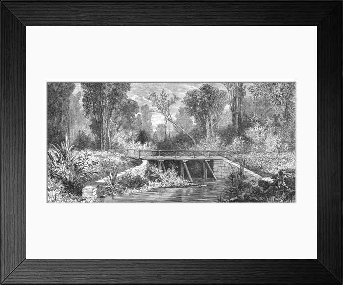 Framed Print : Pont des Francais, New Caledonia; Some Account of New Caledonia, 1875. Creator: Unknown Framed Print : Pont des Francais, New Caledonia; Some Account of New Caledonia, 1875. Creator: Unknown