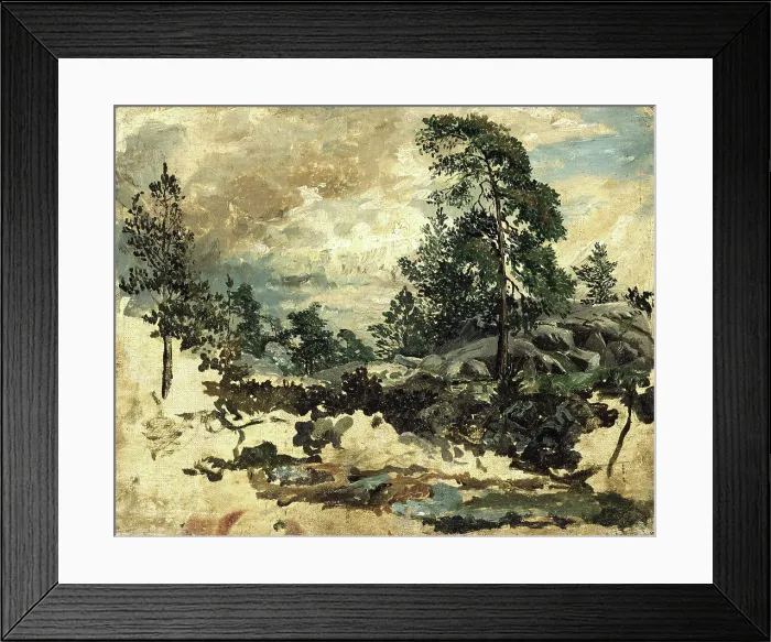 Framed Print : Study of Terrain, mid-19th century. Creator: Kilian Christoffer Zoll Framed Print : Study of Terrain, mid-19th century. Creator: Kilian Christoffer Zoll