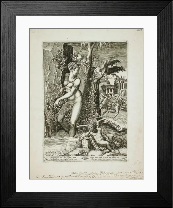 Framed Print : Venus and the Rose, 1564. Creators: Gaspare Osello, Giorgio Ghisi Framed Print : Venus and the Rose, 1564. Creators: Gaspare Osello, Giorgio Ghisi