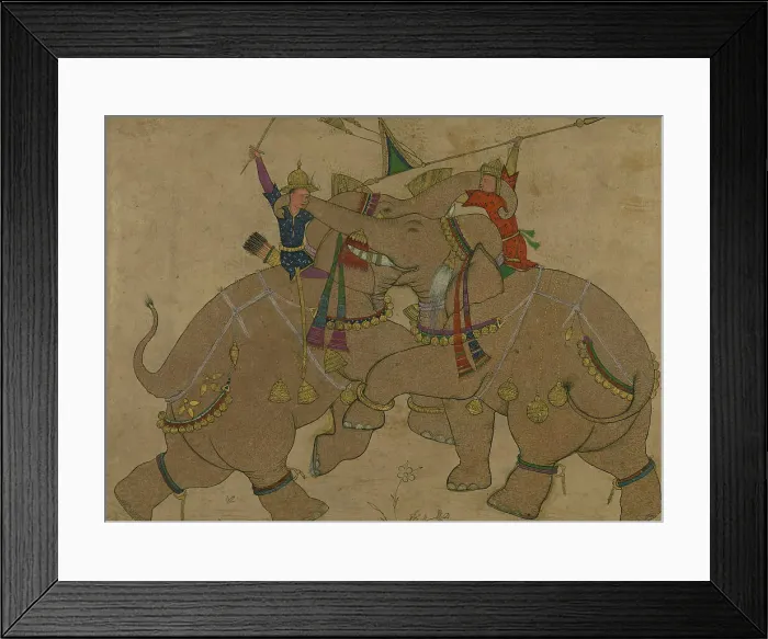 Framed Print : Single Leaf of Elephant Combat, 13th century AH / AD 19th century. Creator: Unknown Framed Print : Single Leaf of Elephant Combat, 13th century AH / AD 19th century. Creator: Unknown
