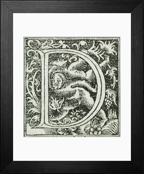 Framed Print : Fourteen Ornamental Letters (C, D, I, Q) (image 13 of 14), 16th century. Creator: Unknown Framed Print : Fourteen Ornamental Letters (C, D, I, Q) (image 13 of 14), 16th century. Creator: Unknown