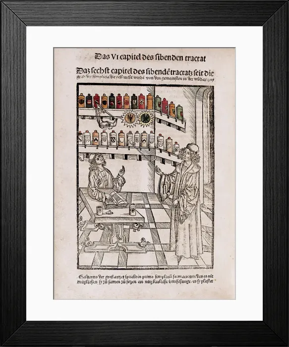 Framed Print : Chirurgia, 1497. Creator: Johann Gruninger Framed Print : Chirurgia, 1497. Creator: Johann Gruninger