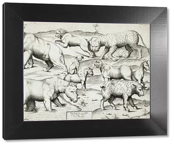 Sheet of Animals, 1547. Creators: Enea Vico, Antonio Lafreri