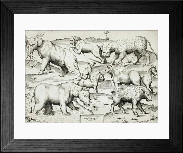 Framed Print : Sheet of Animals, 1547. Creators: Enea Vico, Antonio Lafreri Framed Print : Sheet of Animals, 1547. Creators: Enea Vico, Antonio Lafreri