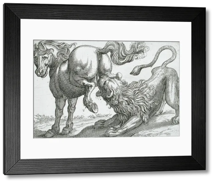 Framed Print : A Horse Kicking a Lion, 1610. Creator: Hendrick Hondius I Framed Print : A Horse Kicking a Lion, 1610. Creator: Hendrick Hondius I
