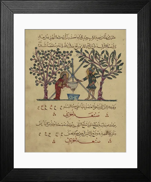 Framed Print : Single Leaf from the Arabic Version of Dioscorides De materia medica, Rajab 621 AH / AD 1224. Creator: Unknown Framed Print : Single Leaf from the Arabic Version of Dioscorides De materia medica, Rajab 621 AH / AD 1224. Creator: Unknown