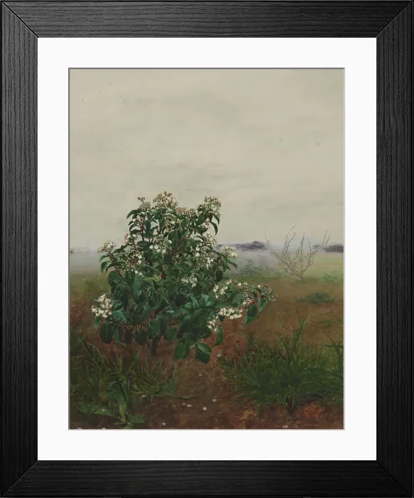 Framed Print : Flowering Laurustinus in front of a Landscape, 1864. Creator: Leon Bonvin