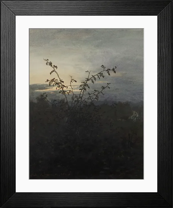 Framed Print : Wild Rose Bush in front of a Nocturnal Landscape, 1864. Creator: Leon Bonvin Framed Print : Wild Rose Bush in front of a Nocturnal Landscape, 1864. Creator: Leon Bonvin