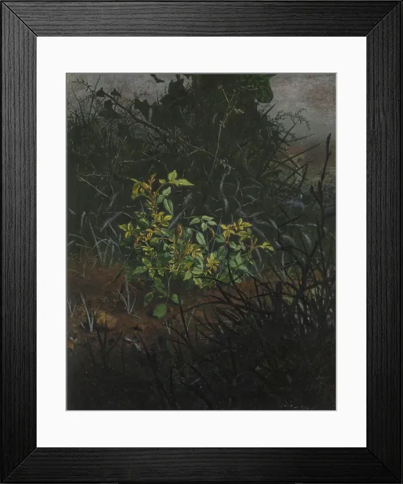 Framed Print : Rose Bush in a Thicket, 1865. Creator: Leon Bonvin Framed Print : Rose Bush in a Thicket, 1865. Creator: Leon Bonvin