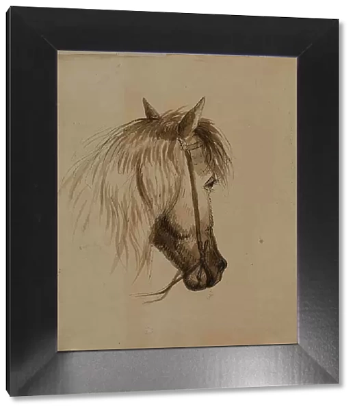 Head of a Horse, mid 19th century. Creator: Alfred Jacob Miller