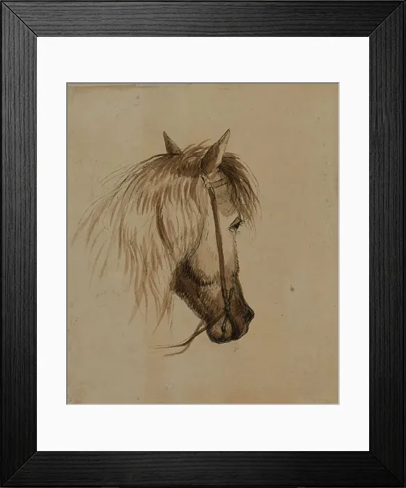 Framed Print : Head of a Horse, mid 19th century. Creator: Alfred Jacob Miller Framed Print : Head of a Horse, mid 19th century. Creator: Alfred Jacob Miller