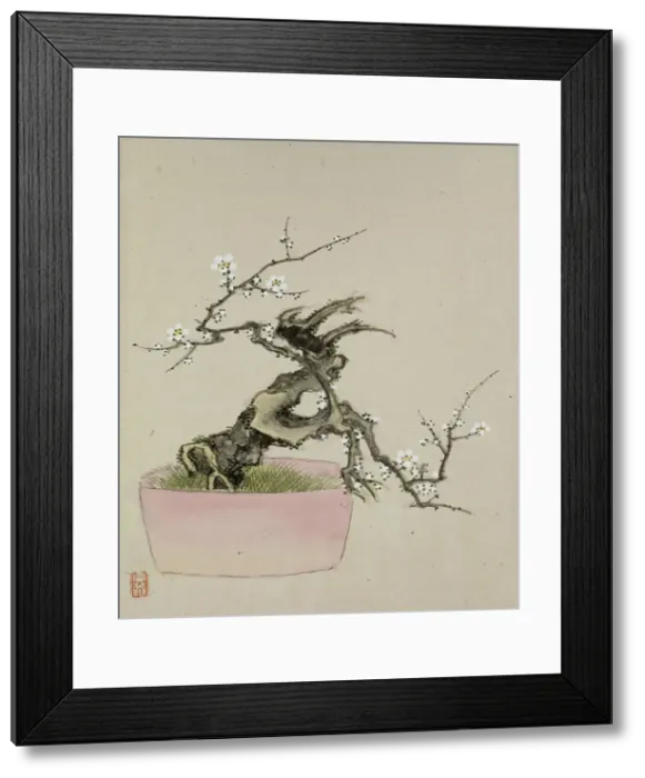 Framed Print : Leaf from Album Depicting Birds, Flowers, Landscapes, and Flower Pots, 1876. Creator: Yoshizawa Setsuan Framed Print : Leaf from Album Depicting Birds, Flowers, Landscapes, and Flower Pots, 1876. Creator: Yoshizawa Setsuan