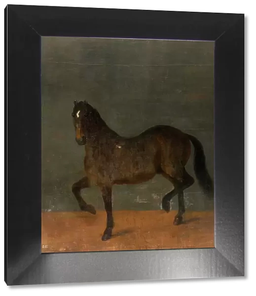 Horse called the Firecutter, c17th century. Creator: David Klocker Ehrenstrahl