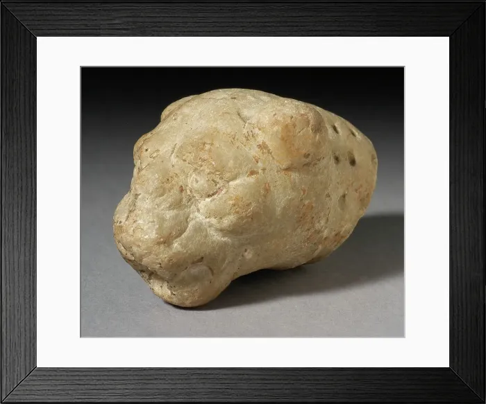 Framed Print : Feline Head, Ptolemaic Period-Byzantine Period (332 BCE-641 CE). Creator: Unknown Framed Print : Feline Head, Ptolemaic Period-Byzantine Period (332 BCE-641 CE). Creator: Unknown