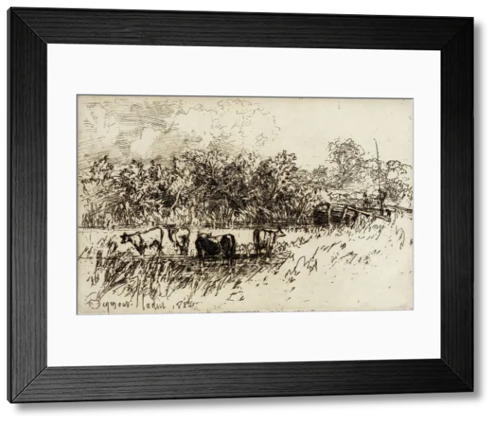 Framed Print : The Four Cows, 1882. Creator: Francis Seymour Haden Framed Print : The Four Cows, 1882. Creator: Francis Seymour Haden