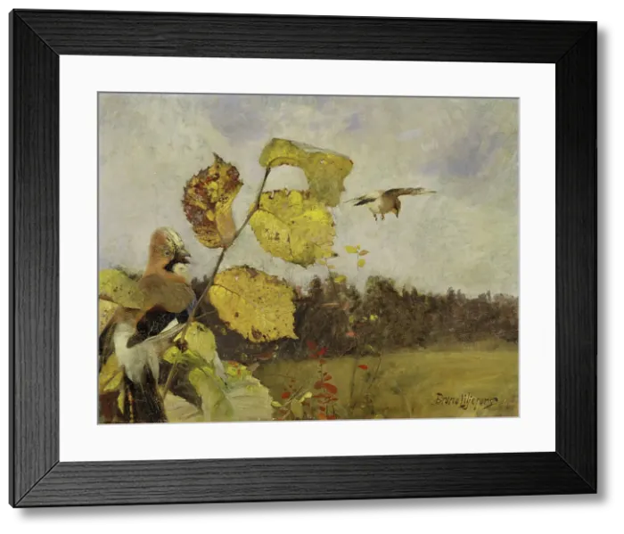 Framed Print : Jays, 1886. Creator: Bruno Liljefors Framed Print : Jays, 1886. Creator: Bruno Liljefors