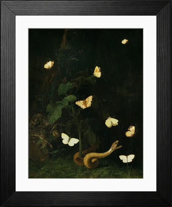 Framed Print : Herbs, Butterflies and a Serpent. Creator: Christian Jansz Striep Framed Print : Herbs, Butterflies and a Serpent. Creator: Christian Jansz Striep