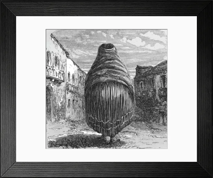 Framed Print : Middle-aged Limena; Lima and the Andes, 1875. Creator: Unknown Framed Print : Middle-aged Limena; Lima and the Andes, 1875. Creator: Unknown