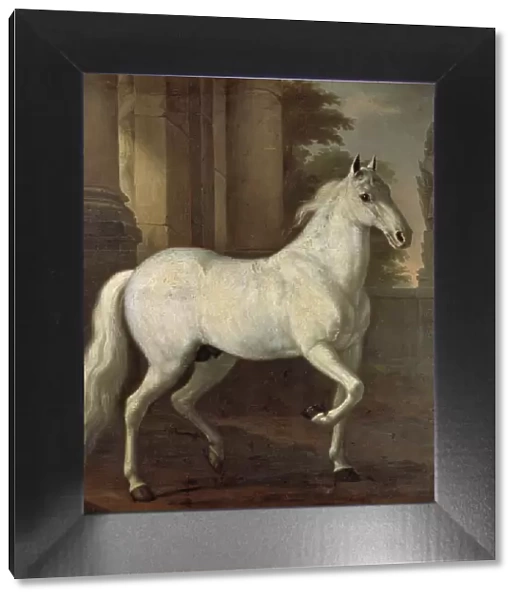 Charles XI's favourite horse Brilliant, 1680. Creator: David Klocker Ehrenstrahl