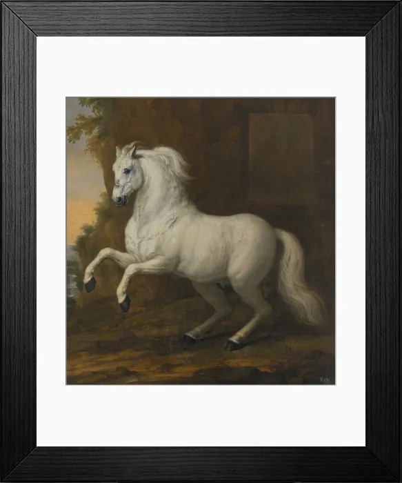 Framed Print : Karl XI's favourite horse In short, 1684. Creator: David Klocker Ehrenstrahl Framed Print : Karl XI's favourite horse In short, 1684. Creator: David Klocker Ehrenstrahl