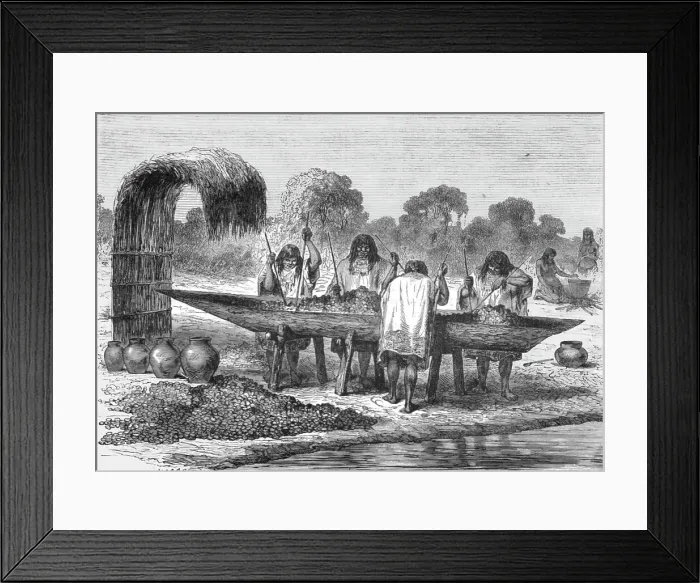 Framed Print : Indians mashing Turtle Eggs; The Fresh-water Turtle of the Amazons, 1875. Creator: Unknown Framed Print : Indians mashing Turtle Eggs; The Fresh-water Turtle of the Amazons, 1875. Creator: Unknown