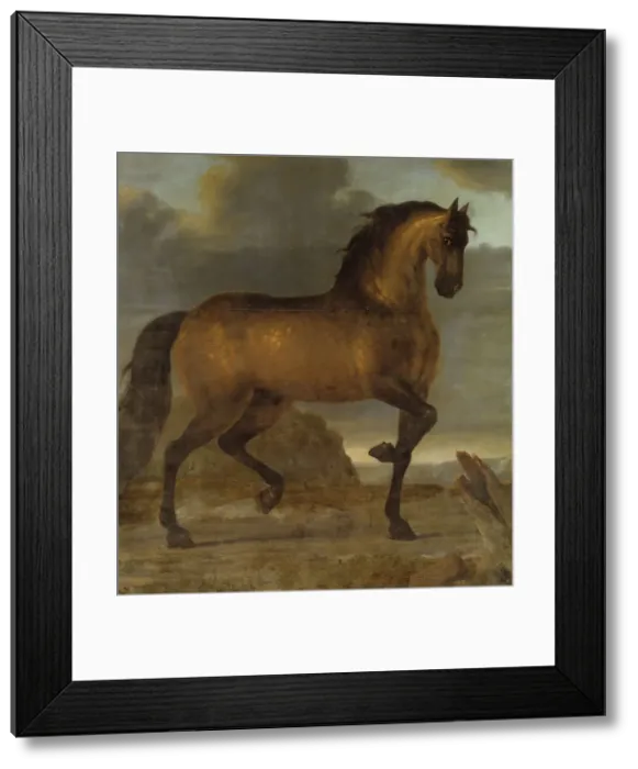 Framed Print : Charles XI's favourite horse Capricorn, 1673. Creator: David Klocker Ehrenstrahl Framed Print : Charles XI's favourite horse Capricorn, 1673. Creator: David Klocker Ehrenstrahl