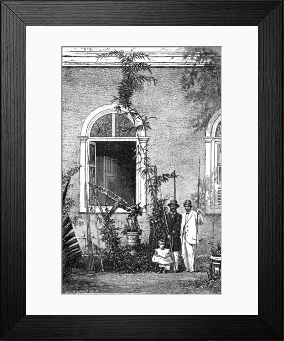 Framed Print : Young Climbing-palm at a country house near Rio Janeiro; The Climbing Palm-tree, (Desmoncus), 1875 Creator: Unknown Framed Print : Young Climbing-palm at a country house near Rio Janeiro; The Climbing Palm-tree, (Desmoncus), 1875 Creator: Unknown