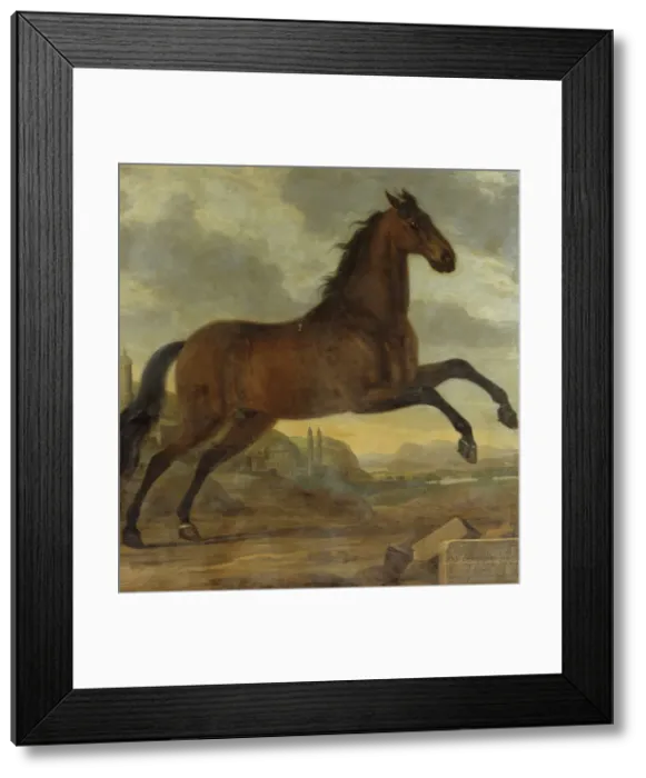 Framed Print : Charles XI's favourite horse Sultan, 1689. Creator: David Klocker Ehrenstrahl Framed Print : Charles XI's favourite horse Sultan, 1689. Creator: David Klocker Ehrenstrahl