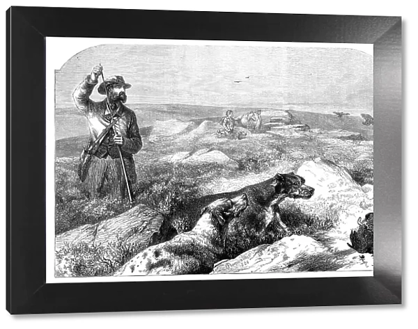 Grouse-shooting - from a drawing by Harrison Weir, 1860. Creator: Unknown
