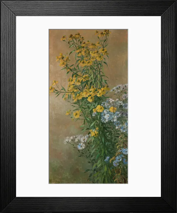 Framed Print : Autumn Flowers, Helenium and New York Aster, 1910. Creator: Gunnar Wennerberg Framed Print : Autumn Flowers, Helenium and New York Aster, 1910. Creator: Gunnar Wennerberg