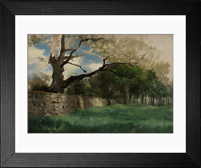 Framed Print : Landscape at Torsebro, near Kristianstad, 1884. Creator: Gustaf Rydberg Framed Print : Landscape at Torsebro, near Kristianstad, 1884. Creator: Gustaf Rydberg