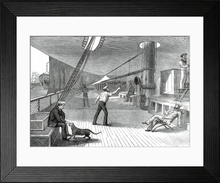 Framed Print : The Prince's Voyage Home from India: life on board the Serapis: lawn tennis...1876. Creator: Unknown Framed Print : The Prince's Voyage Home from India: life on board the Serapis: lawn tennis...1876. Creator: Unknown