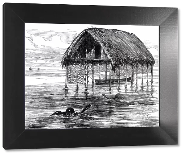 Lieutenant Cameron's Sketches in Central Africa: a lake dwelling on Lake Moheya, 1876. Creator: Unknown