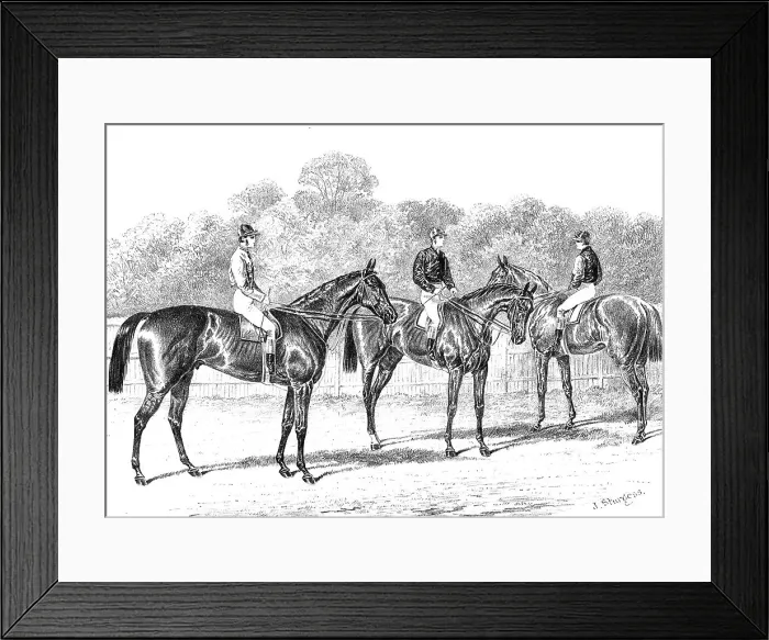 Framed Print : Kisber (Winner of the Derby); Enguerrande and Camelia (Runners of the Dead-Heat for the Oaks), 1876. Creator: Unknown Framed Print : Kisber (Winner of the Derby); Enguerrande and Camelia (Runners of the Dead-Heat for the Oaks), 1876. Creator: Unknown