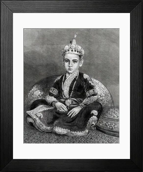 Framed Print : His Highness the Nizam of Hyderabad, 1876. Creator: Unknown Framed Print : His Highness the Nizam of Hyderabad, 1876. Creator: Unknown